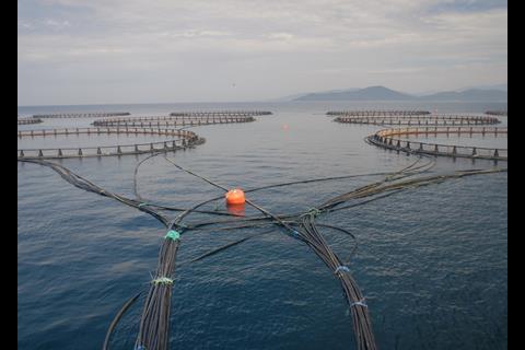 EU fisheries chief Maria Damanaki wants to see more from European aquaculture